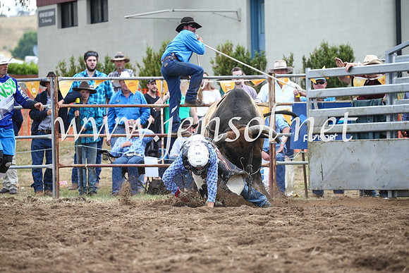 JindabyneRodeo2016_3950