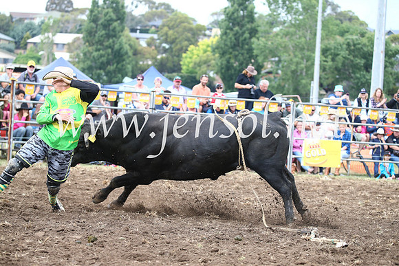 JindabyneRodeo2016-1705