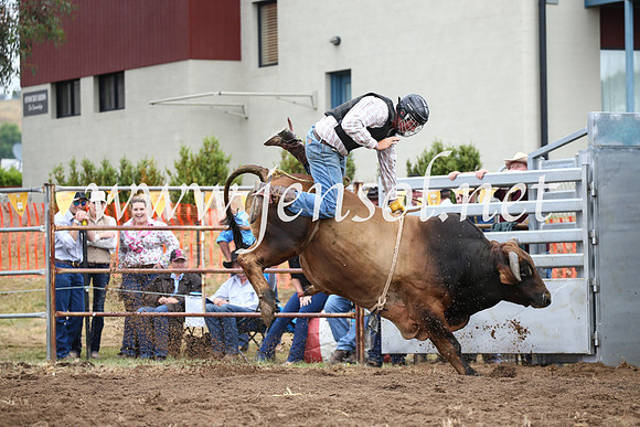 JindabyneRodeo2016-1606