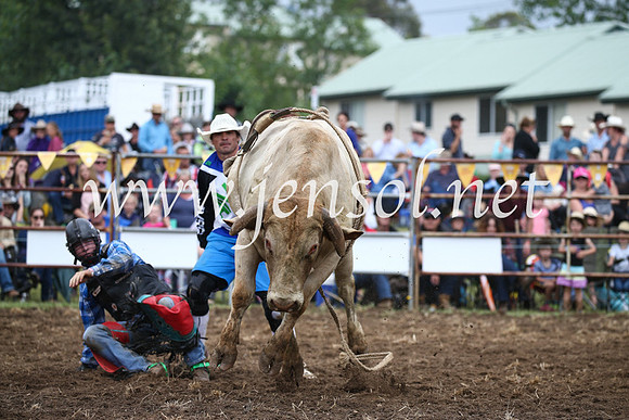 JindabyneRodeo2016-1578