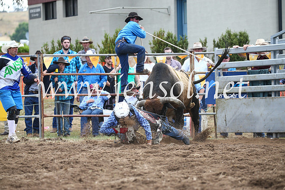 JindabyneRodeo2016_3947