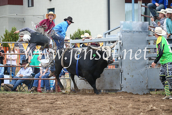 JindabyneRodeo2016_3913