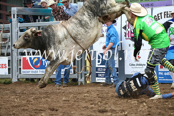 JindabyneRodeo2016-1634