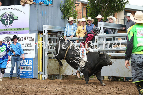 JindabyneRodeo2016-1972