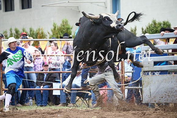 JindabyneRodeo2016-2092