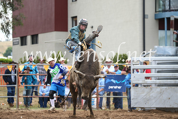 JindabyneRodeo2016_4009