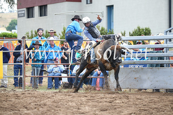JindabyneRodeo2016_3944