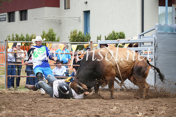 JindabyneRodeo2016-1612