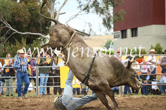 JindabyneRodeo2016-1782