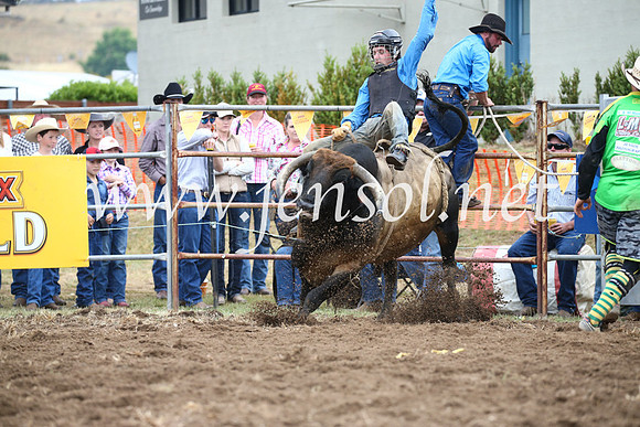 JindabyneRodeo2016-1739