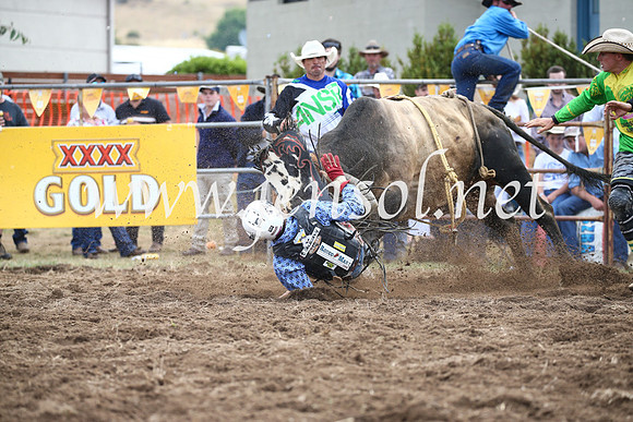 JindabyneRodeo2016_3978