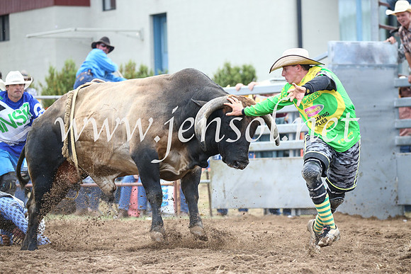 JindabyneRodeo2016_3976