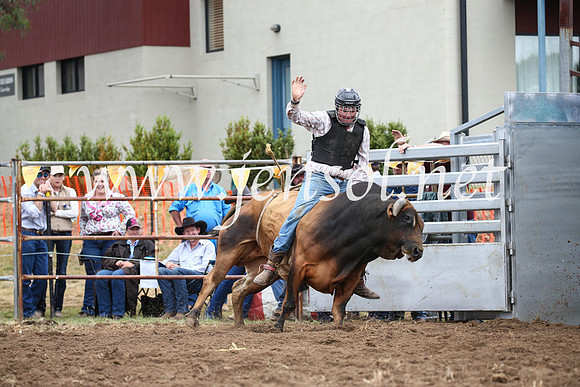 JindabyneRodeo2016-1598