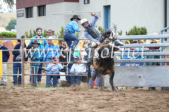 JindabyneRodeo2016_3943