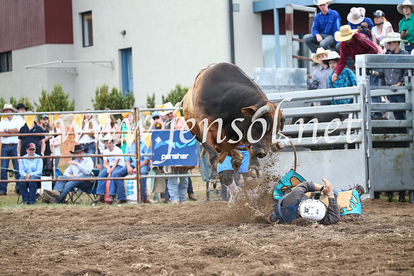 JindabyneRodeo2016_3900