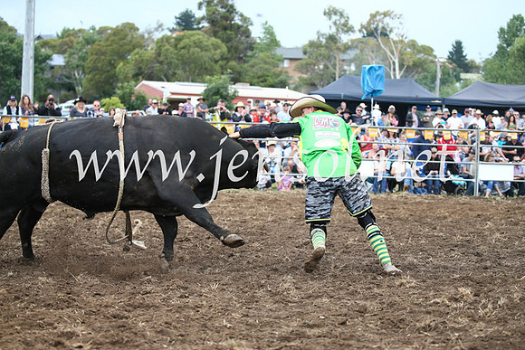 JindabyneRodeo2016-1679