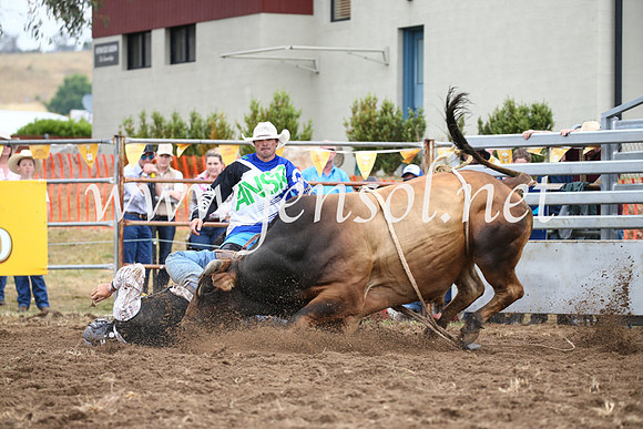 JindabyneRodeo2016-1617