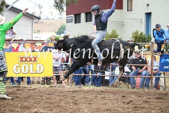 JindabyneRodeo2016-2059