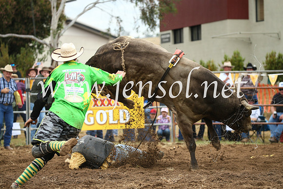 JindabyneRodeo2016-1803