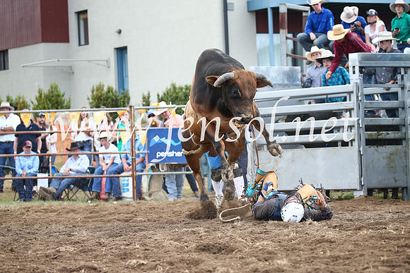 JindabyneRodeo2016_3883