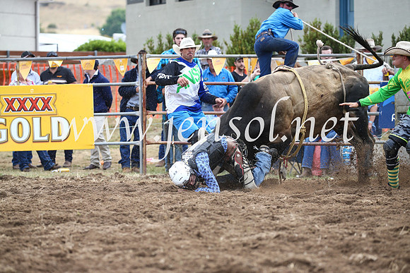 JindabyneRodeo2016_3958