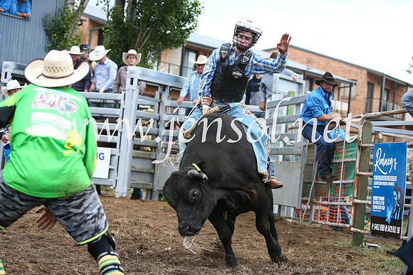 JindabyneRodeo2016-1639