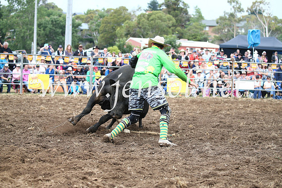 JindabyneRodeo2016-1684