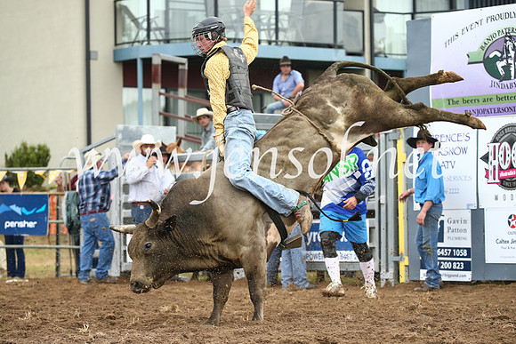 JindabyneRodeo2016-1770