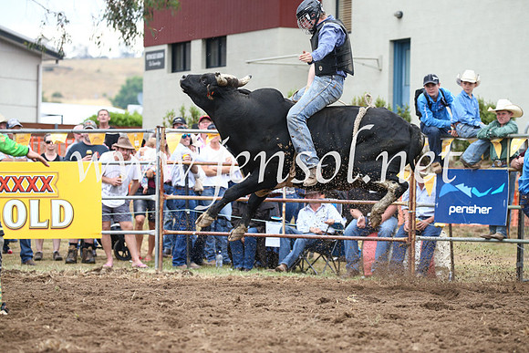 JindabyneRodeo2016-2069