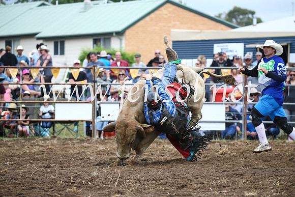JindabyneRodeo2016-1557