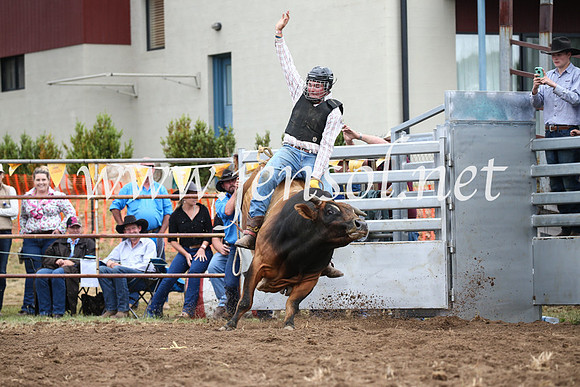 JindabyneRodeo2016-1595
