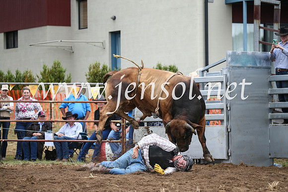 JindabyneRodeo2016-1602
