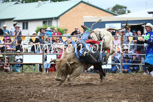 JindabyneRodeo2016-1558