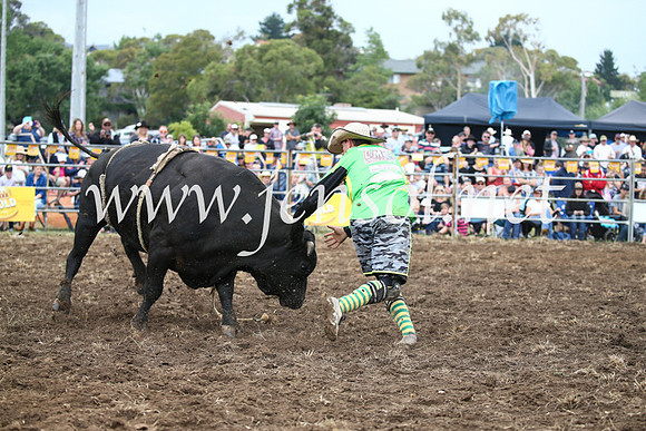 JindabyneRodeo2016-1681