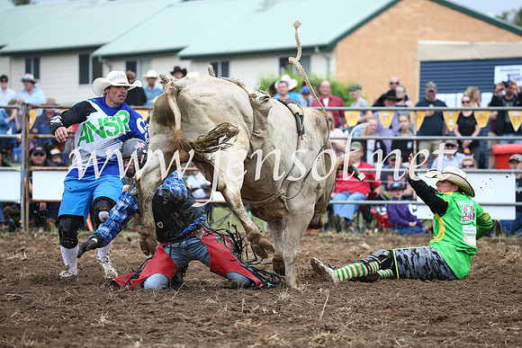 JindabyneRodeo2016-1586