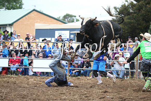 JindabyneRodeo2016-2065