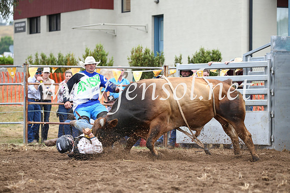 JindabyneRodeo2016-1613
