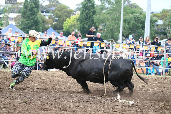 JindabyneRodeo2016-1704