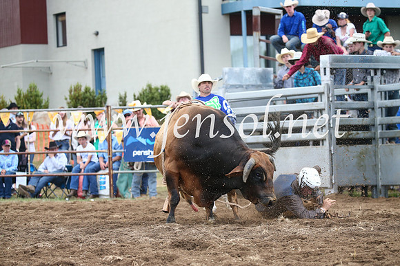 JindabyneRodeo2016_3893