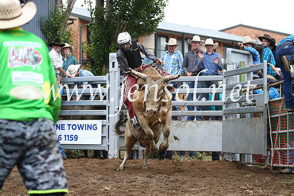 JindabyneRodeo2016-2027