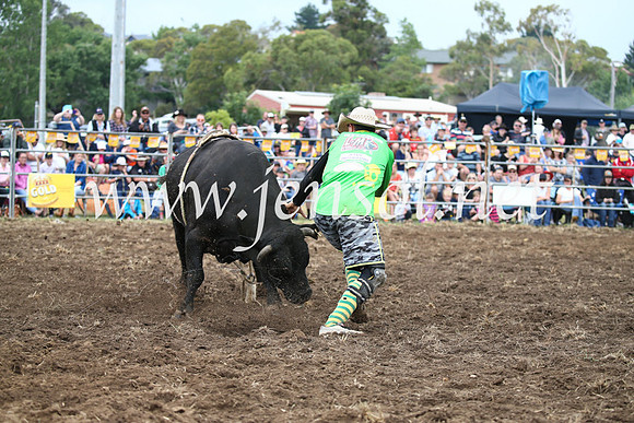 JindabyneRodeo2016-1687
