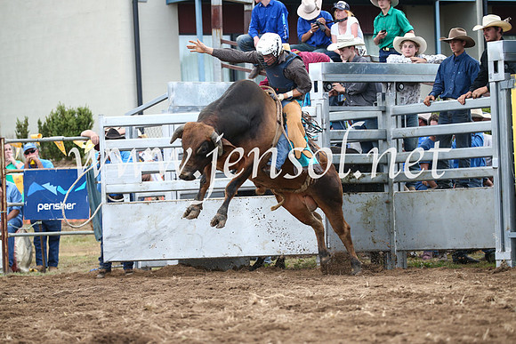 JindabyneRodeo2016_3864