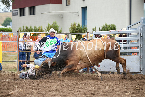 JindabyneRodeo2016-1614