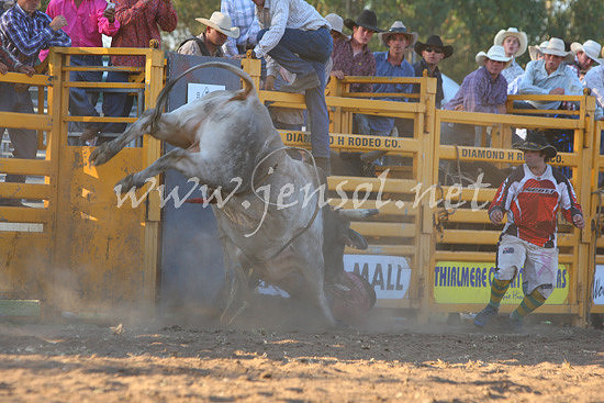 pictonrodeo2013one_1148