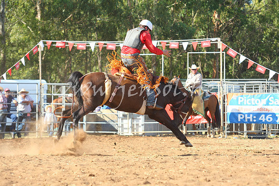 pictonrodeo2013one_0846