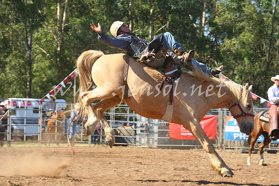pictonrodeo2013one_0628