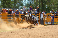 pictonrodeo2013one_0507