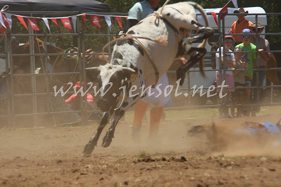 pictonrodeo2013one_0557