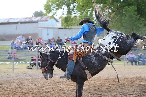 MossVale2015_0786