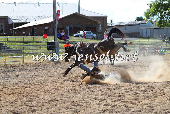 MossVale2015_0279